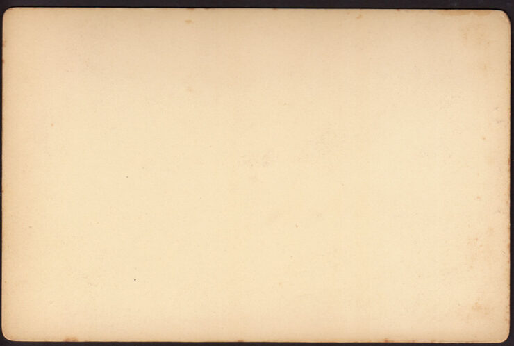 BRUCKENBERG (KARPACZ GÓRNY) - RIESENGEBIRGE - Fot. F. PIETCHMANN - OK. 1890 R. - TEKTURKA