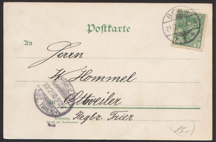FRUHLICHES NEUES JAHR 1901 - NOWY ROK - KWIATY Z KOKARDĄ