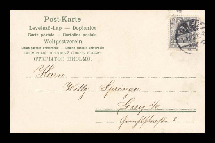 NEUEN JAHR (NOWY ROK) - FIOŁKI, KONICZYNY 1903 R.