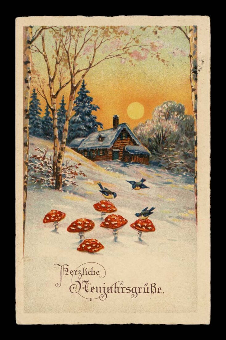 ZIMA, MUCHOMORY, NOWY ROK, NASTROJOWA 1932
