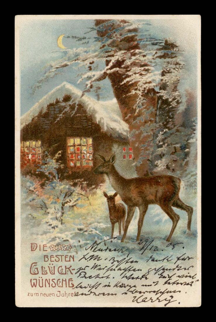 ZIMA, SARNY, ZWIERŻETA, POD ŚWIATŁO !!! GLATZ 1905