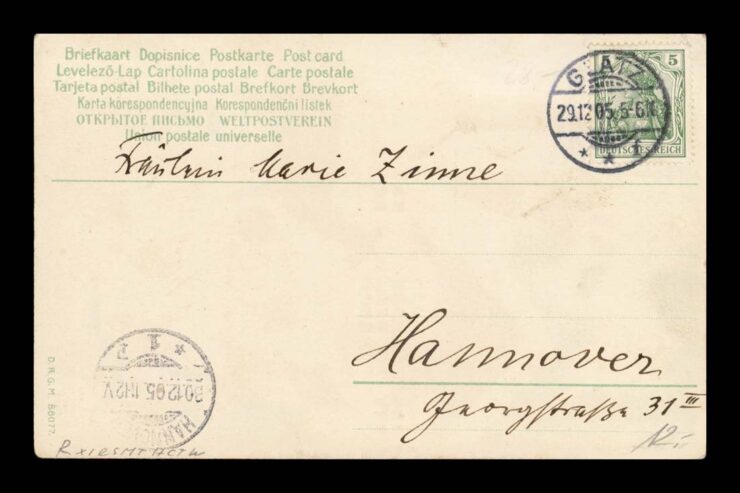 ZIMA, SARNY, ZWIERŻETA, POD ŚWIATŁO !!! GLATZ 1905