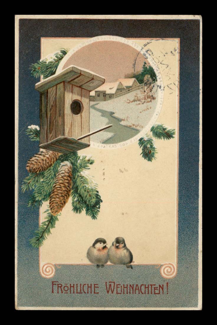 ZIMA, ŚWIĘTA, PTAKI, LITHO
