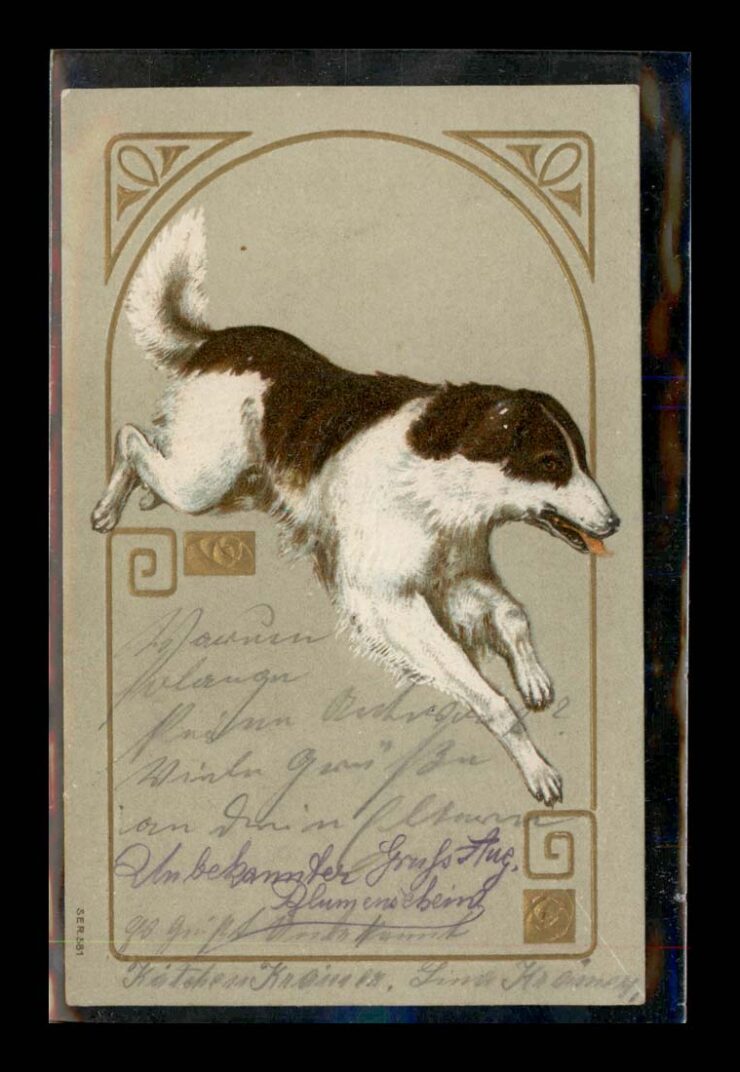 PIES, SECESJA, VINTIGE 1910
