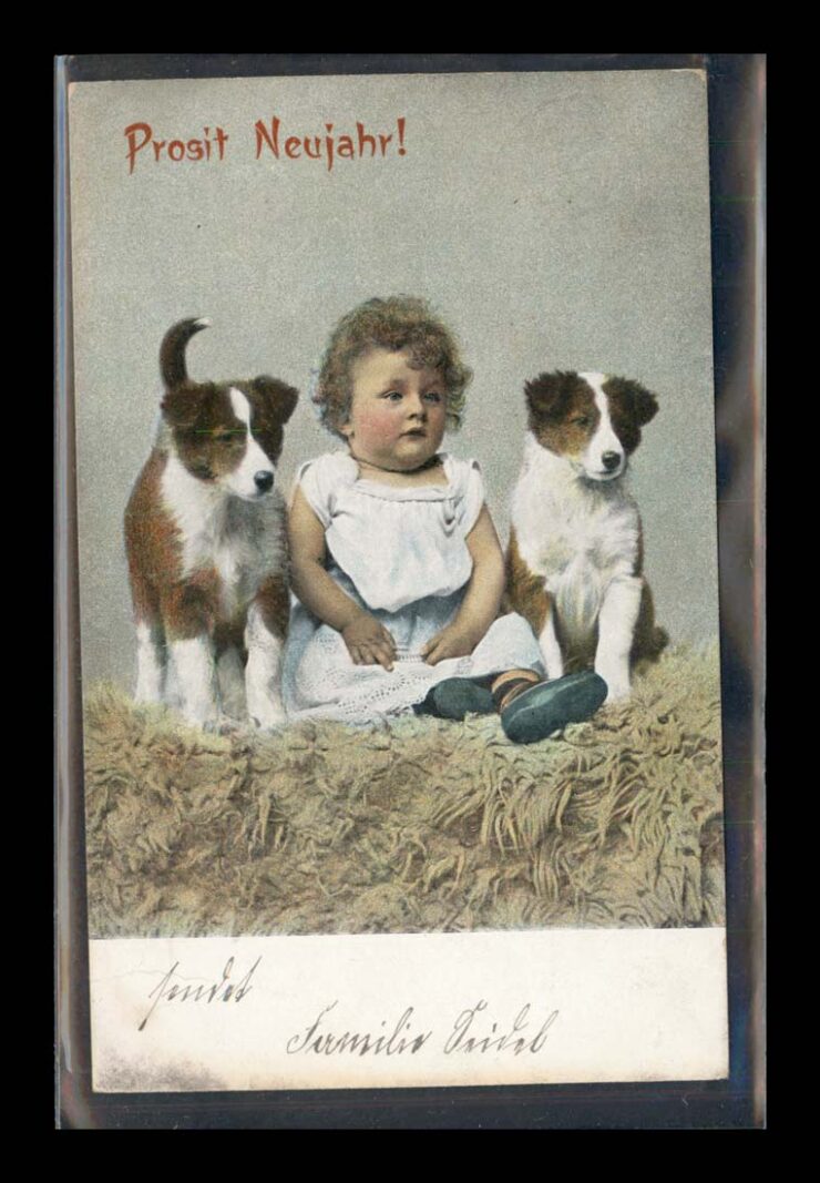 DWA MŁODE PSY, NOWY ROK, VINTIGE 1904