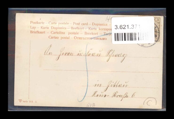 DWA MŁODE PSY, NOWY ROK, VINTIGE 1904
