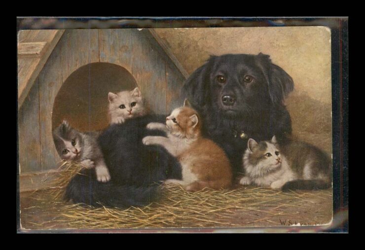 SIGN. PIES I KOTY, RETRO, LITHO 1907