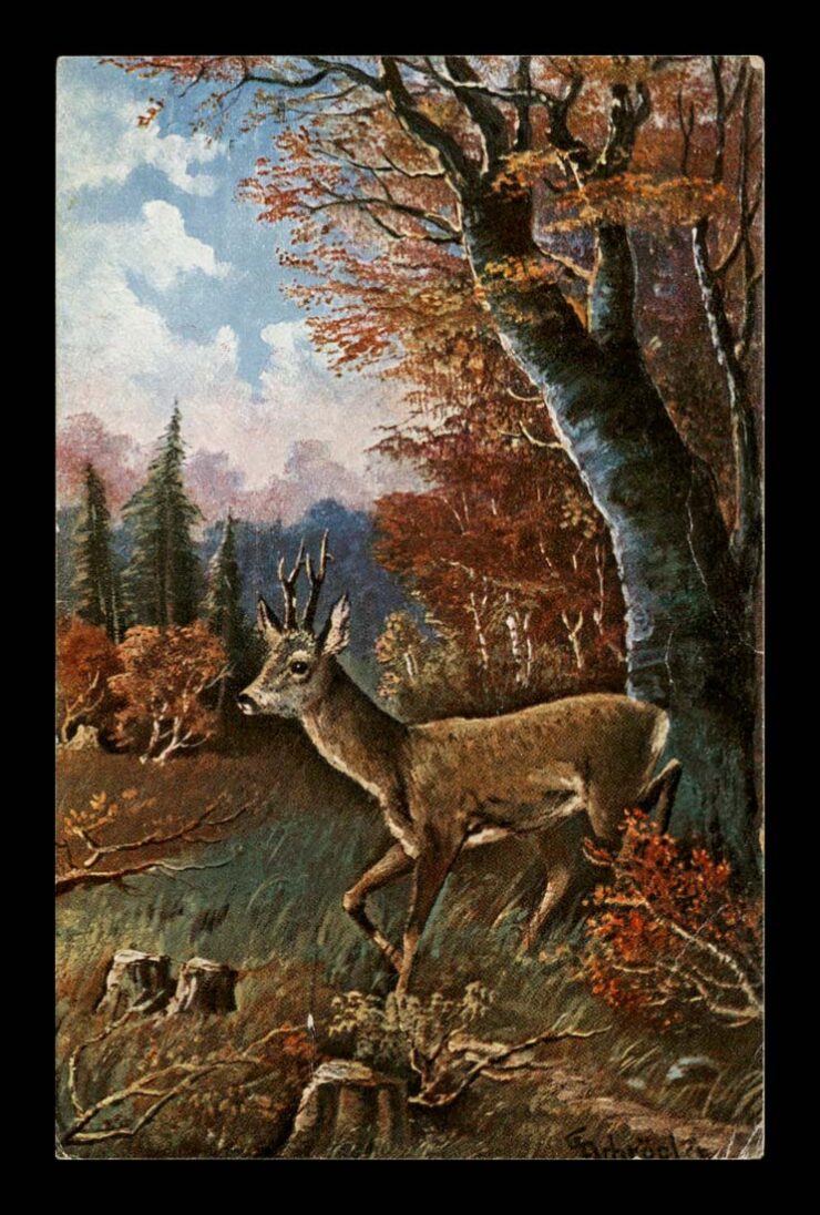 MYŚLISTWO, ROGAZ, JESIEŃ, LITHO 1917
