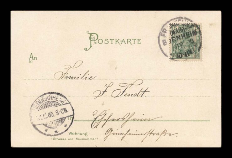 NEUE JAHR (NOWOROCZNA), DATA, ROK 1901, KWIATY, LITHO 1900
